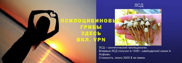спиды Покров